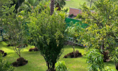 Casa en venta Club de Golf Santa Fe Xochitepec