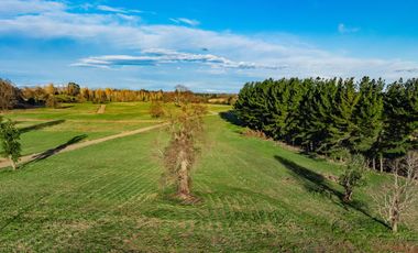 Parcelas RioBueno, Trafun, Agua Luz