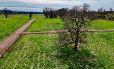 Parcelas RioBueno, Trafun, Agua Luz