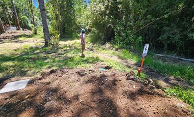 Parcelas Panguipulli Agua Luz Entrega Inmediata