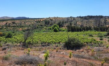 San Toribio/Puico - Parcela - Venta