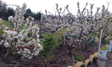 Camino Cerro Negro/Ruta N-860 - Parcela - Venta