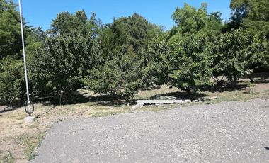 Camino Cerro Negro/Ruta N-860 - Parcela - Venta