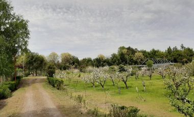 Camino Cerro Negro/Ruta N-860 - Parcela - Venta