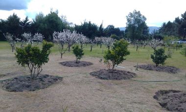 Camino Cerro Negro/Ruta N-860 - Parcela - Venta