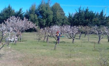 Camino Cerro Negro/Ruta N-860 - Parcela - Venta