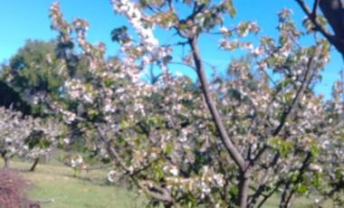 Camino Cerro Negro/Ruta N-860 - Parcela - Venta