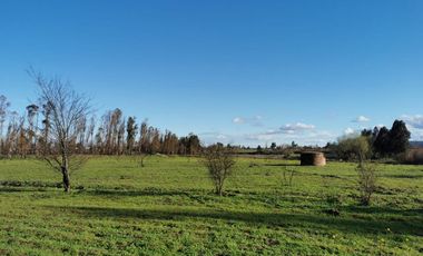Camino los patos,/San Ramon - Parcela - Venta