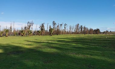 Camino los patos,/San Ramon - Parcela - Venta