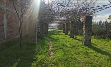 Camino los patos,/San Ramon - Parcela - Venta