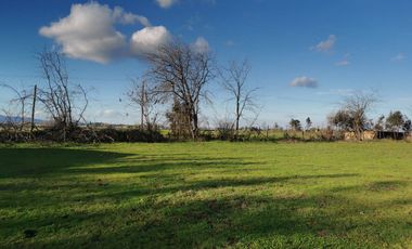 Camino los patos,/San Ramon - Parcela - Venta