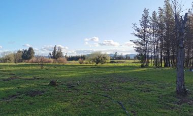 Camino los patos,/San Ramon - Parcela - Venta