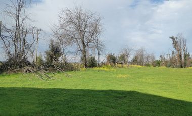 Camino los patos,/San Ramon - Parcela - Venta