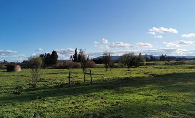 Camino los patos,/San Ramon - Parcela - Venta