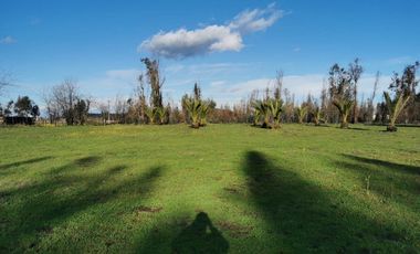 Camino los patos,/San Ramon - Parcela - Venta