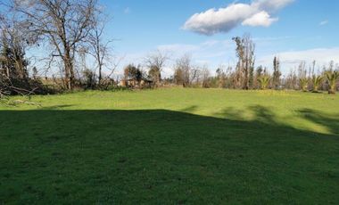 Camino los patos,/San Ramon - Parcela - Venta