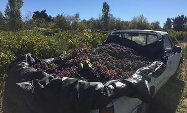 El Turco 2/Villa Alegre - Agricola - Venta