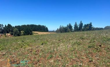 Parcela en Venta en Botrolhue