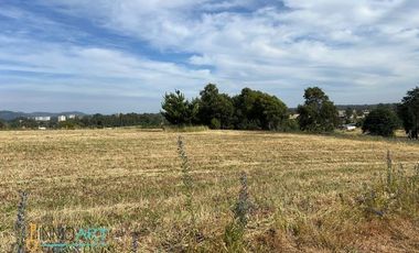 Parcela en Venta en Botrolhue