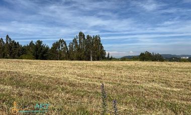 Terreno Construccion  en Venta en Botrolhue
