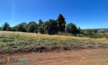 Terreno Construccion  en Venta en Botrolhue