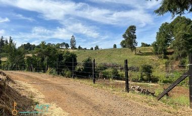 Terreno Construccion  en Venta en Botrolhue