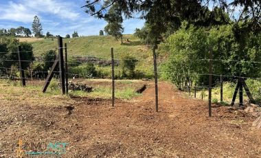 Terreno Construccion  en Venta en Botrolhue