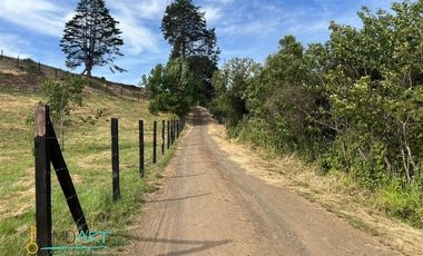 Terreno Construccion  en Venta en Botrolhue