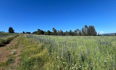 Terreno Construccion  en Venta en Botrolhue