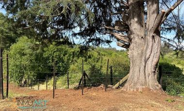 Terreno Construccion  en Venta en Botrolhue