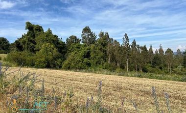 Terreno Construccion  en Venta en Botrolhue