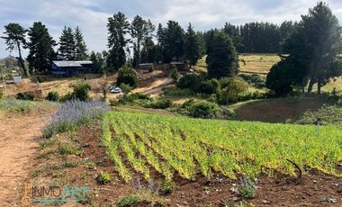 Terreno Construccion  en Venta en Botrolhue