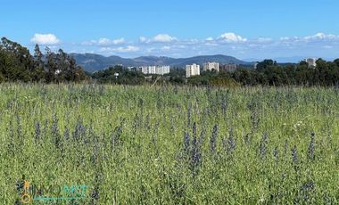 Terreno Construccion  en Venta en Botrolhue