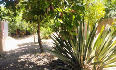 Casa en Venta en Carlos Bull