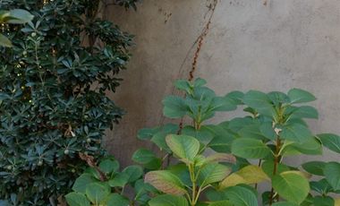 Casa en Arriendo en Avenida Santa Maria / Lo Curro