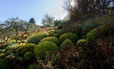 Casa en Arriendo en Avenida Santa Maria / Lo Curro
