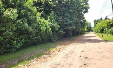 VENTA ARBOLADA CASAQUINTA PILETA GRAL RODRIGUEZ