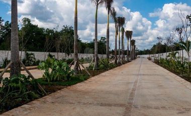 Terreno Residencial en Losantos Cancún – 308 m² | Amenidades de Lujo y Alta Plusvalía