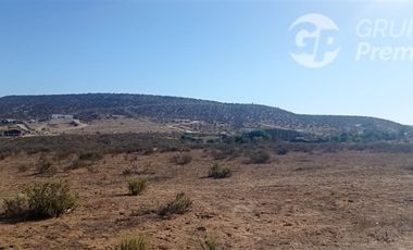 Parcela en Venta en PARCELA EN VENTA SECTOR TALINAY OVALLE