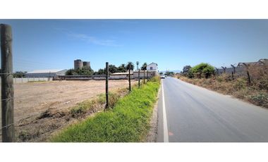 Arriendo de sitio de 3.000 m2, en San Pedro, Quillota.