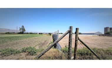 Arriendo de sitio de 3.000 m2, en San Pedro, Quillota.