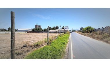 Arriendo de sitio de 3.000 m2, en San Pedro, Quillota.