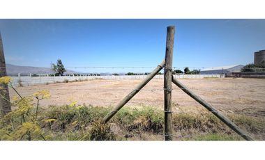 Arriendo de sitio de 3.000 m2, en San Pedro, Quillota.