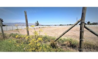 Arriendo de sitio de 3.000 m2, en San Pedro, Quillota.