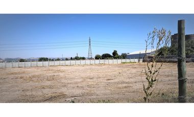 Arriendo de sitio de 3.000 m2, en San Pedro, Quillota.