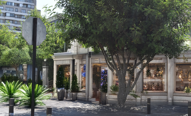 Placa comercial arrendada en venta inversión
