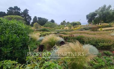 Algarrobo, Punta Fraile/ Cofradía Depto. con 40 mts. Jardín Uso Exclusivo