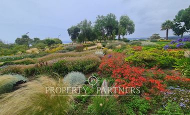 Algarrobo, Punta Fraile/ Cofradía Depto. con 40 mts. Jardín Uso Exclusivo