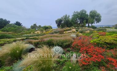 Algarrobo, Punta Fraile/ Cofradía Depto. con 40 mts. Jardín Uso Exclusivo