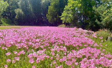 Hermosa y amplia propiedad en San Vicente